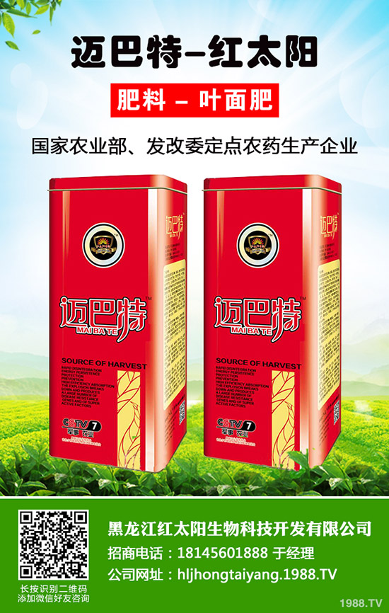 菠蘿種植多久結果?一年結幾次果?菠蘿種植方法!