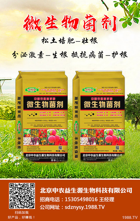 2020年春節(jié)將至蓮藕價(jià)格行情怎樣?種植蓮藕還有前景!效益怎樣?