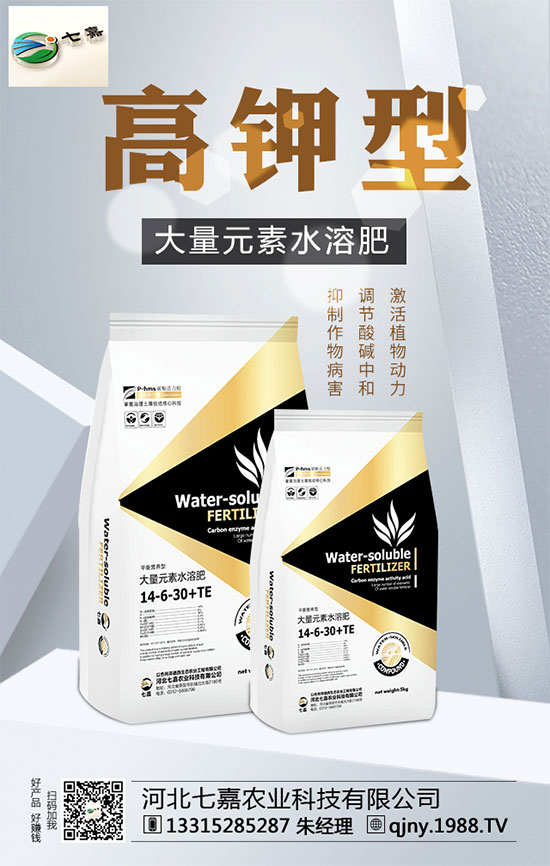 山藥價(jià)格多少錢(qián)一斤?2020年山藥種植前景分析!