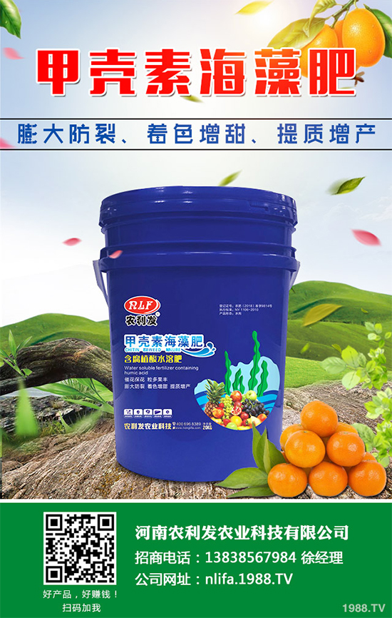 蘑菇種植需要什么條件?蘑菇種植環(huán)境要求