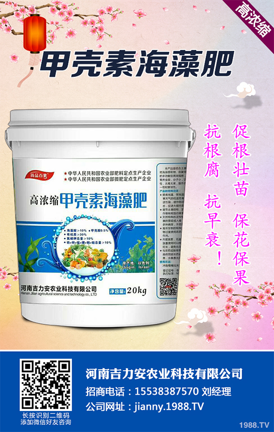 花椒樹什么時候種植?花椒樹種植季節(jié)及種植技術(shù)要點