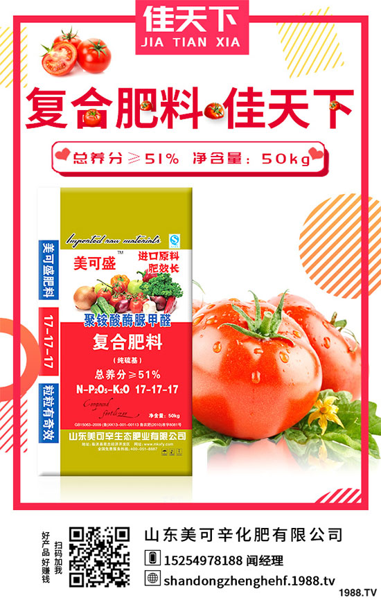 荊芥的功效作用有哪些?什么人不能吃荊芥?
