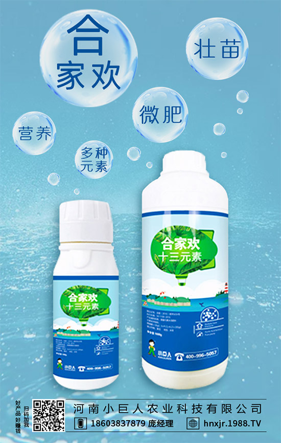 茶樹(shù)菇有哪些營(yíng)養(yǎng)價(jià)值?茶樹(shù)菇的功效與作用!