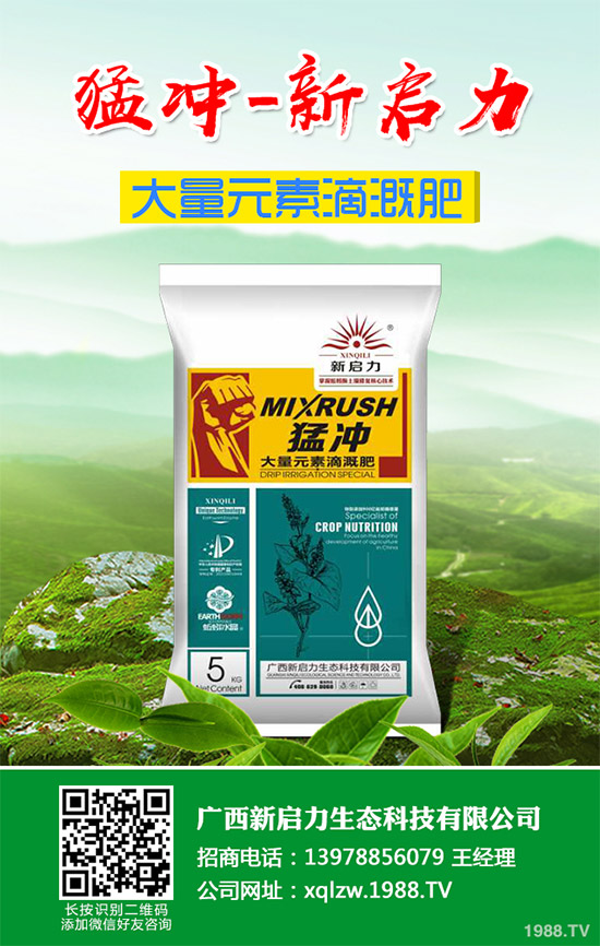 紅肉蜜柚該如何種植?紅心蜜柚高產(chǎn)種植技術(shù)