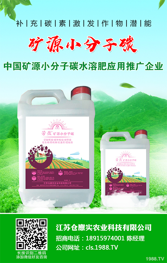明年種植蘋果前景如何?2020年蘋果種植效益分析