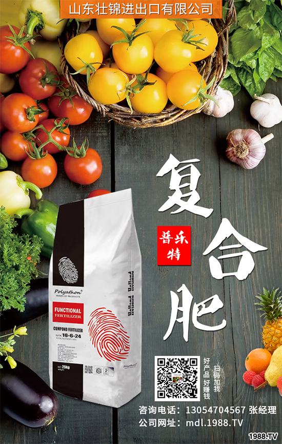 魔芋有哪些營養(yǎng)價(jià)值?魔芋的營養(yǎng)價(jià)值及功效作用