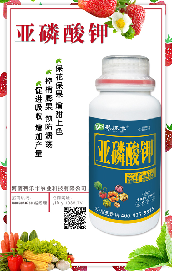 吃木耳菜有什么好處?木耳菜的營(yíng)養(yǎng)價(jià)值及食療價(jià)值!