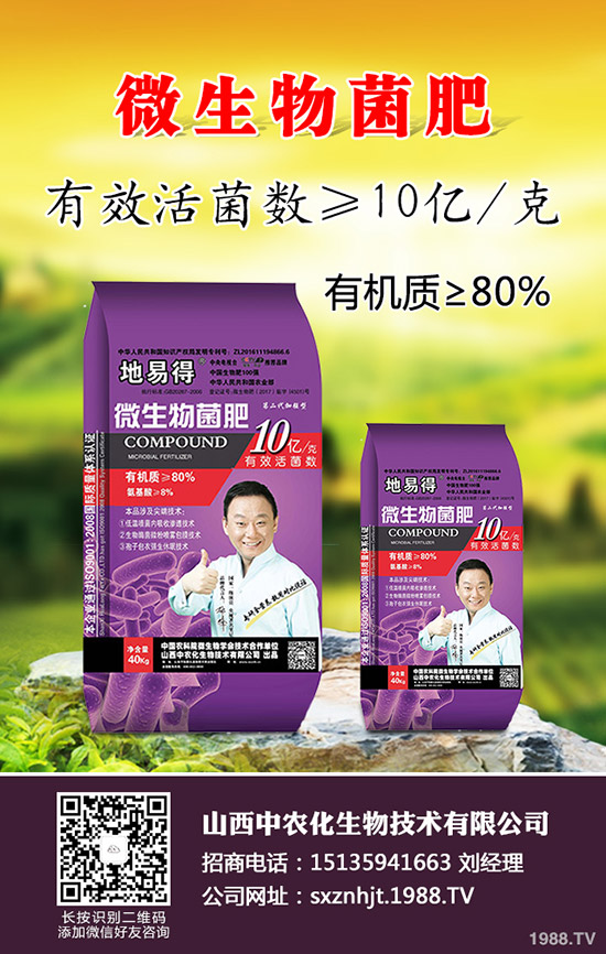 2020早春玉米在那些地區(qū)種植合適?春玉米種植播種時期及技術(shù)要點!