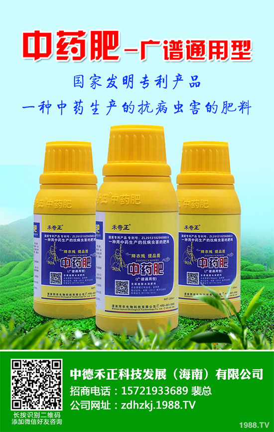 金線蓮有哪些營養(yǎng)價(jià)值?金線蓮的功效作用及食用方法