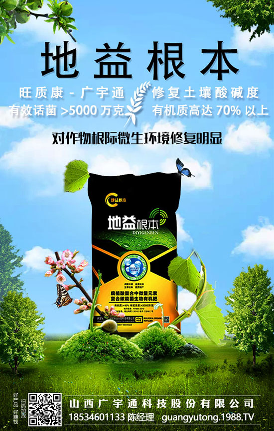 冬季紅薯深得人心,它的施肥技術(shù)是否人人了解呢?