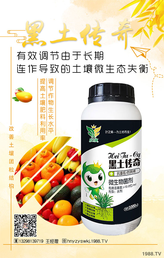 花椒樹什么季節(jié)種植?花椒樹的種植注意事項!