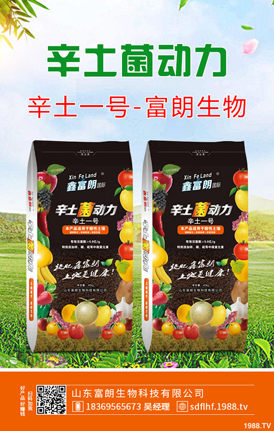 2019年12月6日二銨交投持續(xù)清淡!今日最新二銨主流出廠報(bào)價!