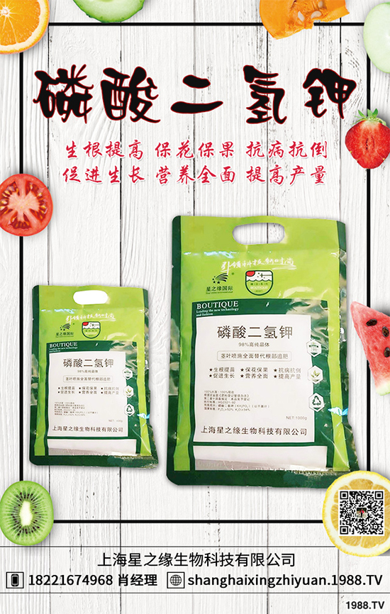 盆栽蔬菜有哪些品種?盆栽蔬菜的種植條件和注意事項
