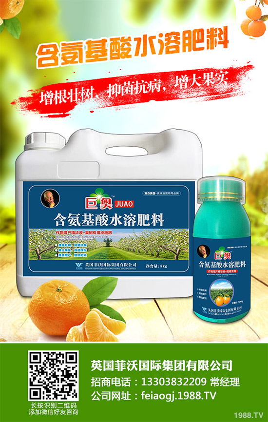 我國南方該怎樣種植藍莓?藍莓高產種植技術要點