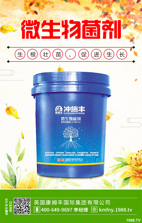 我國南方該怎樣種植藍莓?藍莓高產種植技術要點