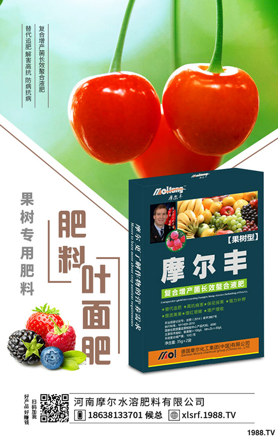 黃精種植到底掙不掙錢?黃精種植要點分析!