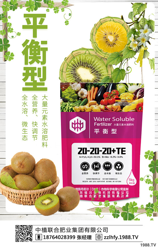 你知道什么是洋薊嗎?洋薊大概多少錢(qián)一斤?快來(lái)看看