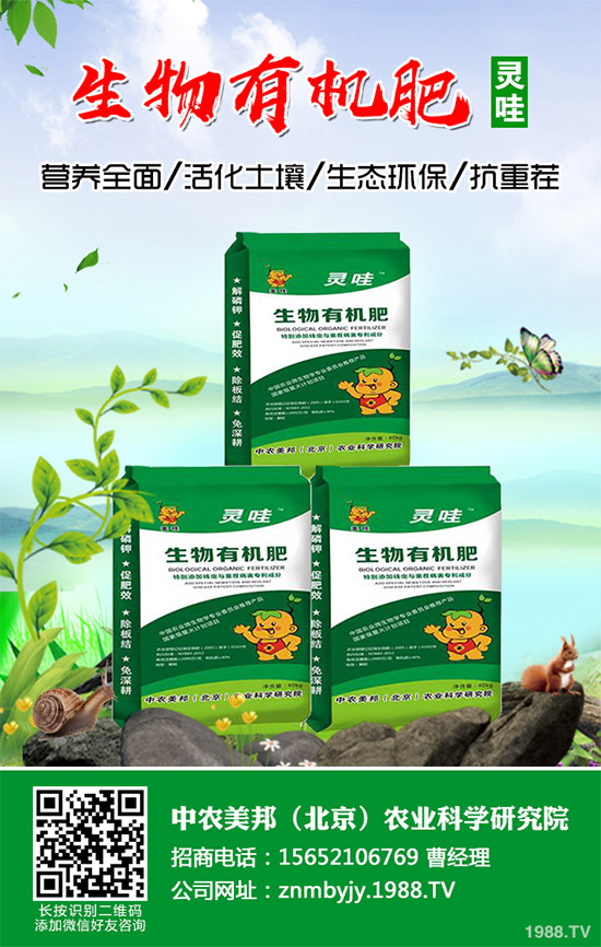 你知道什么是洋薊嗎?洋薊大概多少錢(qián)一斤?快來(lái)看看