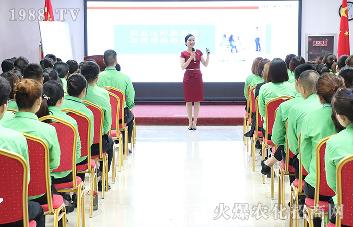 學(xué)習(xí)商務(wù)禮儀,規(guī)范職業(yè)形象