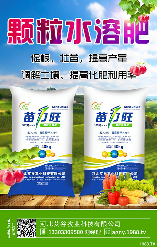 秋季草莓如何施肥?秋季草莓定植管理技術(shù)及施肥、水肥管理方法!