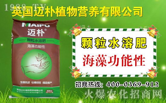 邁樸