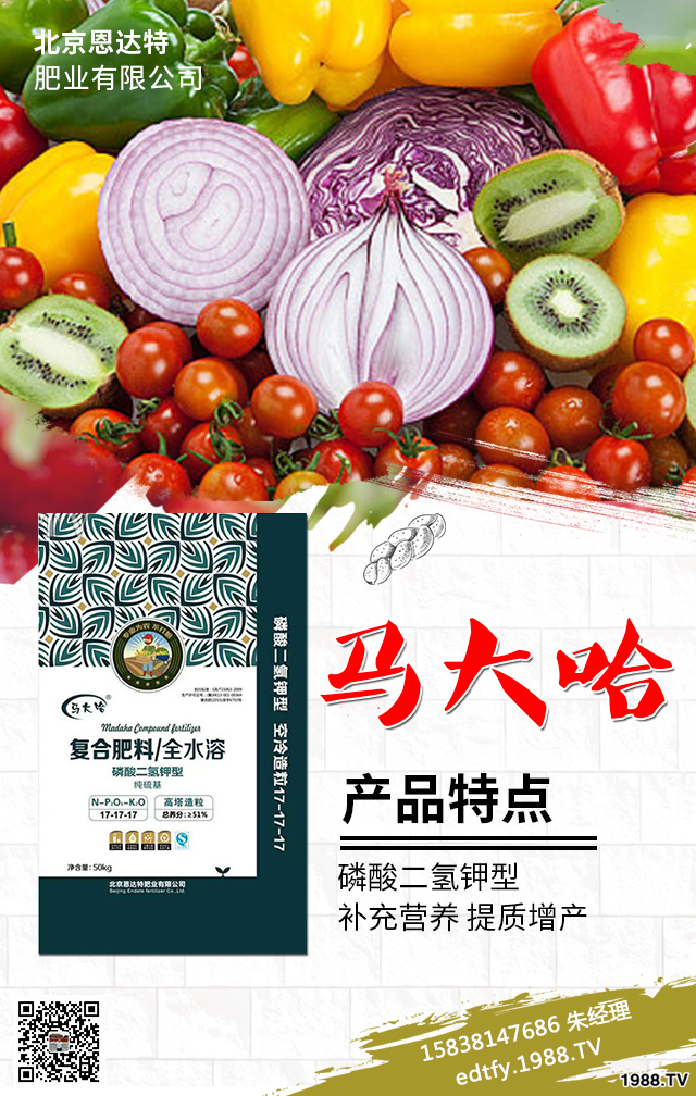 大棚蔬菜施肥中存在哪些問題?大棚蔬菜種植技術