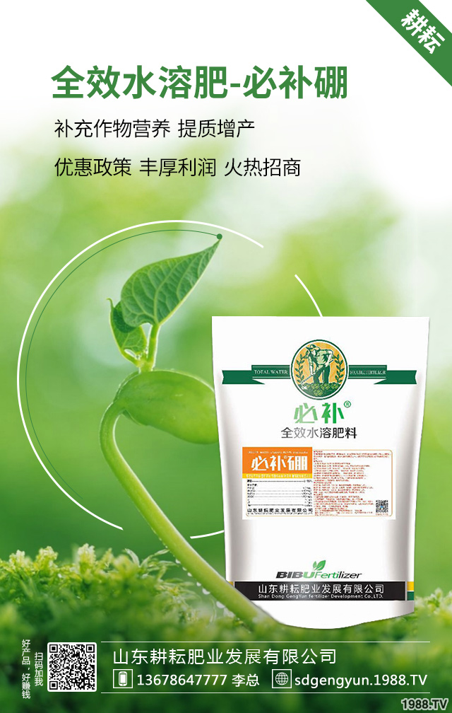 毛豆種植如何提高產(chǎn)量?毛豆高產(chǎn)施肥技術(shù)