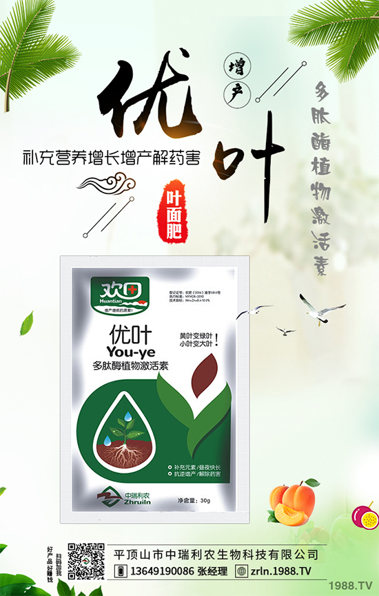 山藥什么時候種植?山藥高產種植技術要點!