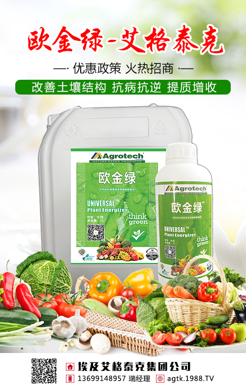 不要盲目施肥了,茶葉需要吃對糧!