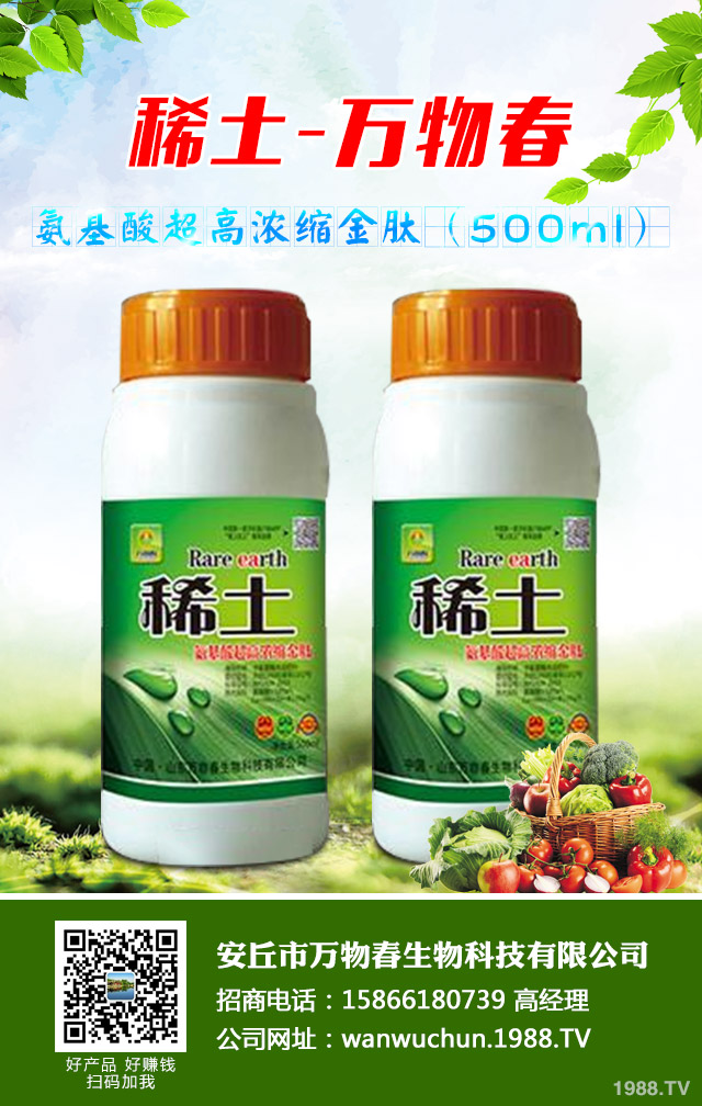 大蔥種植怎么管理?秋季大蔥管理好方法