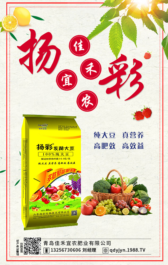 秋茬西紅柿要想產(chǎn)量高,如何澆水沖肥?