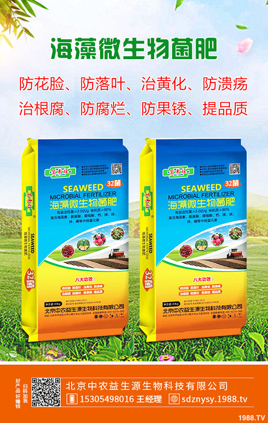 茄子什么時(shí)候種植,茄子一般幾月成熟?