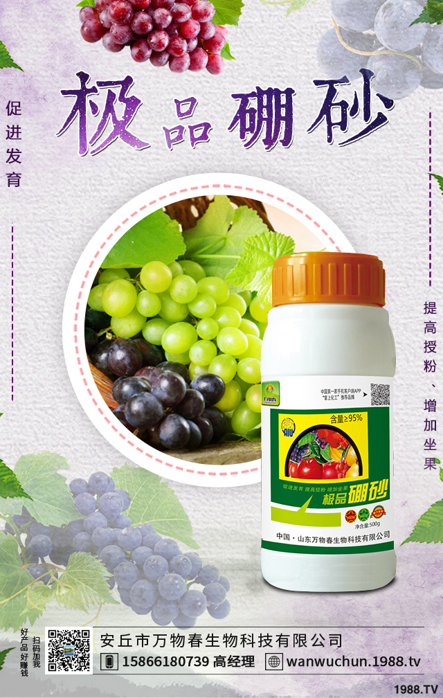 如何增加葡萄的防寒能力?葡萄增加防寒能力方法