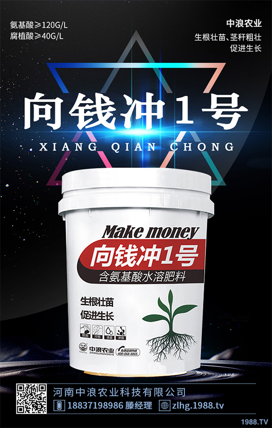 芥菜什么時(shí)候種植效益更好?芥菜高產(chǎn)種植技術(shù)要點(diǎn)