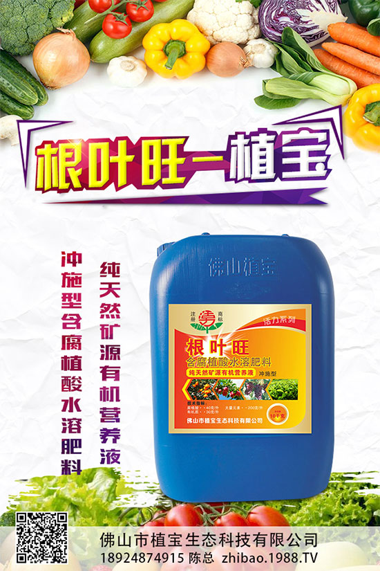 大蔥種植需要滿足那些條件?大蔥種植時(shí)間及對環(huán)境的要求