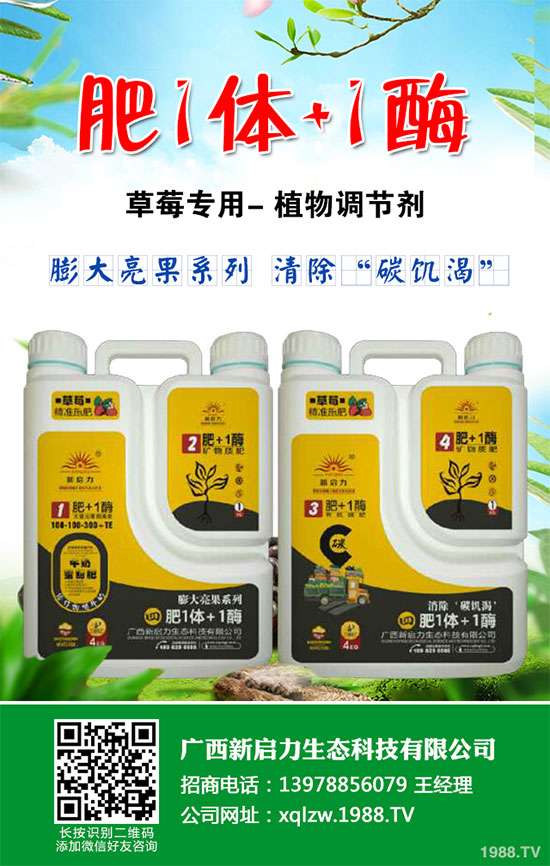 大蔥種植需要滿足那些條件?大蔥種植時(shí)間及對環(huán)境的要求
