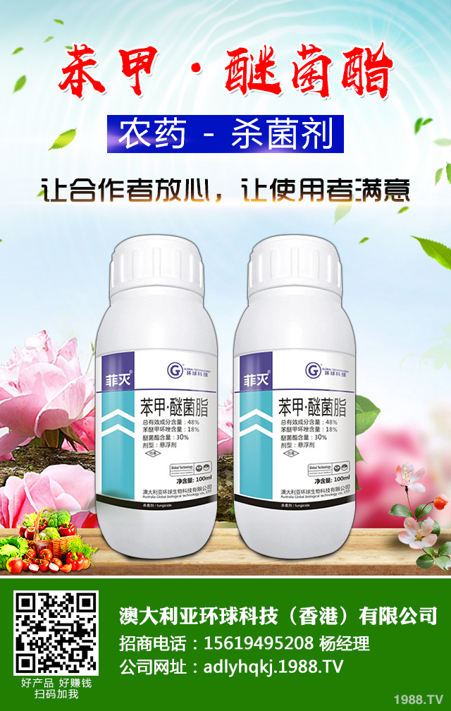 荔枝爛果怎么辦?荔枝爛果四點(diǎn)防治技巧