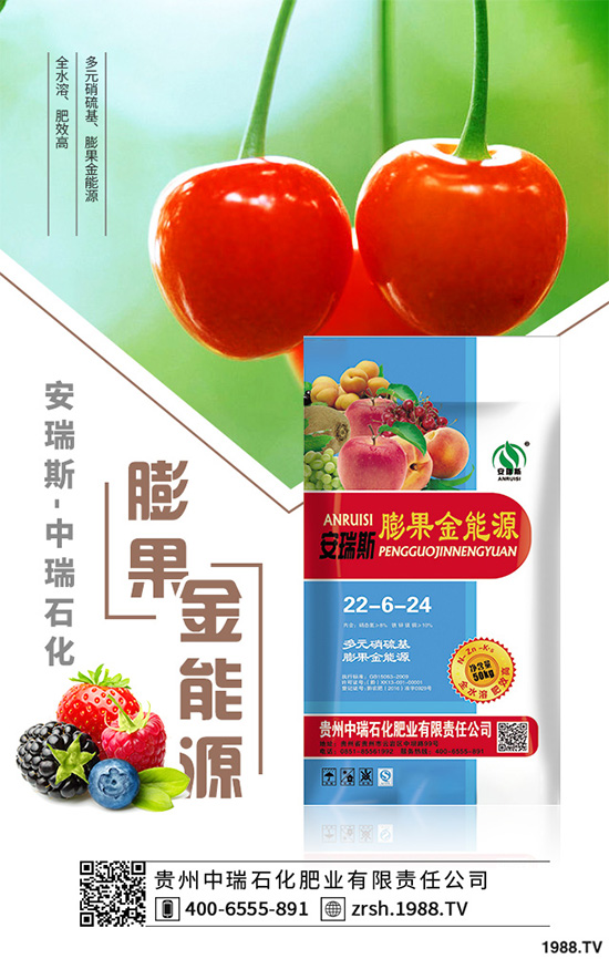萵苣該如何育苗?萵苣苗期管理技術要點