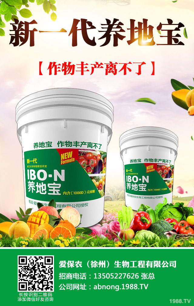西紅柿苗為什么老化?西紅柿苗老化的原因及預(yù)防措施
