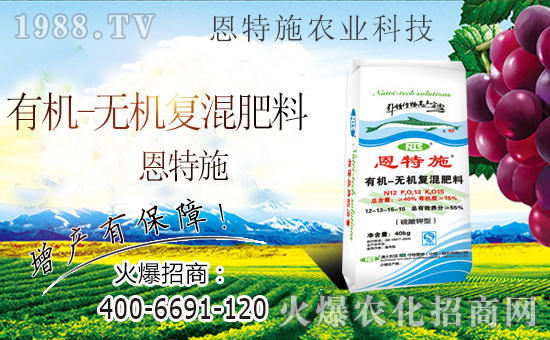 火爆農(nóng)化網(wǎng)喜迎新盟友,攜手恩特施共走財(cái)富之路