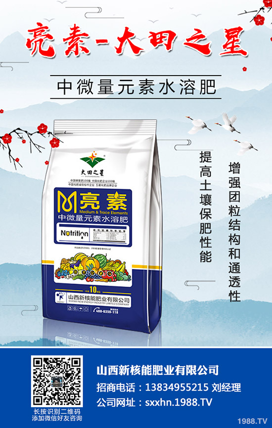 秋季蔬菜如何育苗?秋季常用的育苗的小方法及技術(shù)!