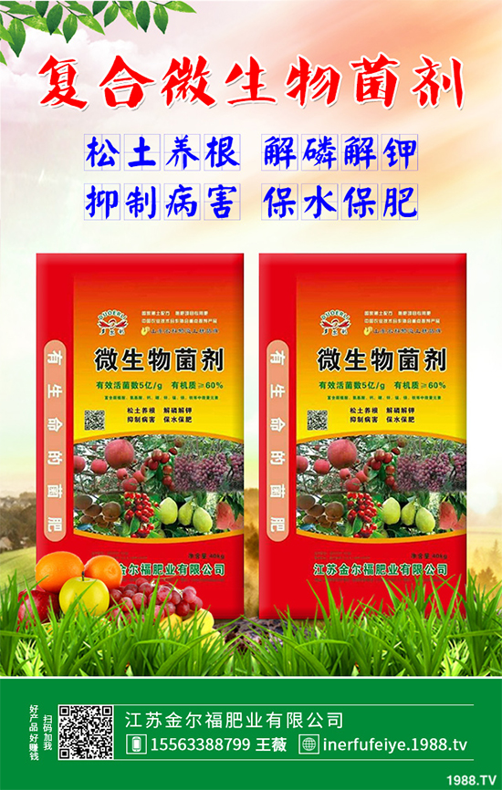 豌豆什么時候種植?該怎么種?豌豆種植時間及種植技術(shù)要點(diǎn)