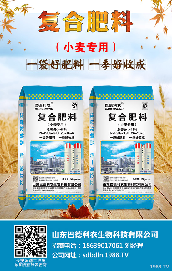 洋蔥什么時間種植?洋蔥育苗時間及管理方法技術!