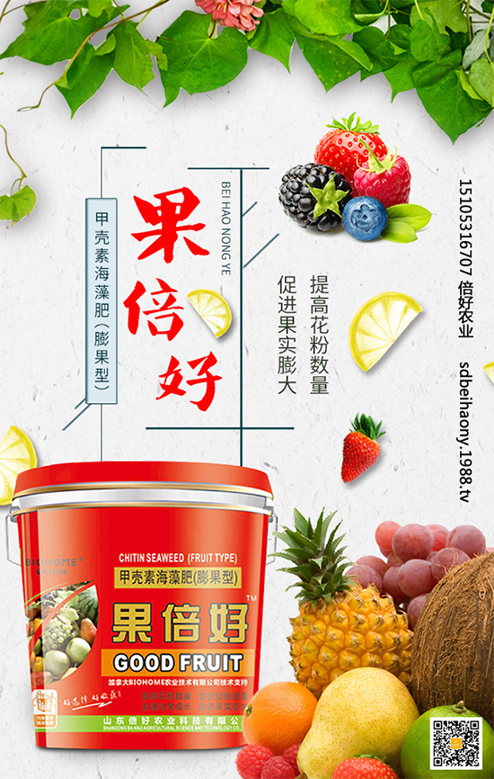 圣女果什么時間種植?圣女果種植技術要點有哪些?