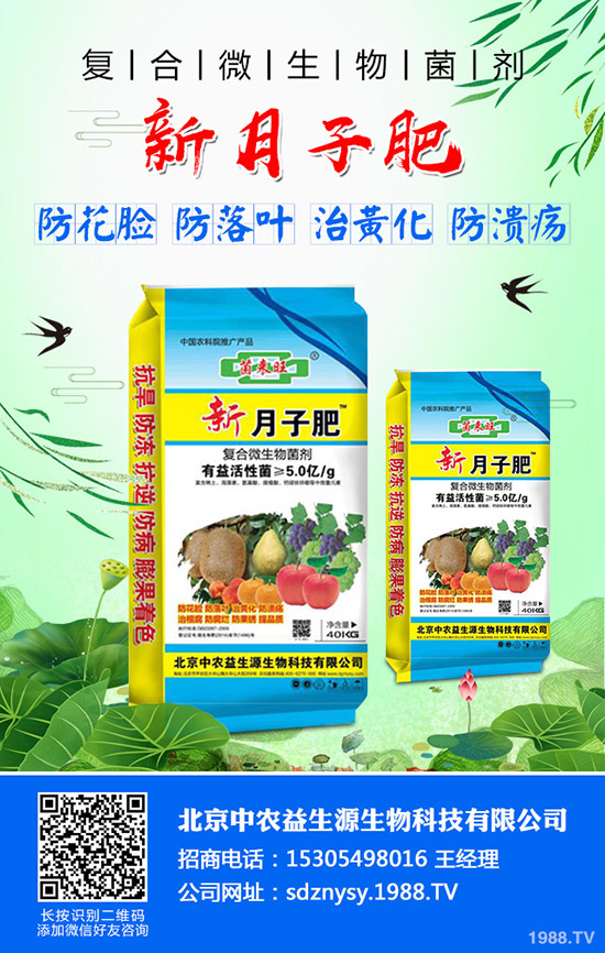 芹菜燒心、空心、葉柄開(kāi)裂什么原因?芹菜燒心防治方法有哪些?
