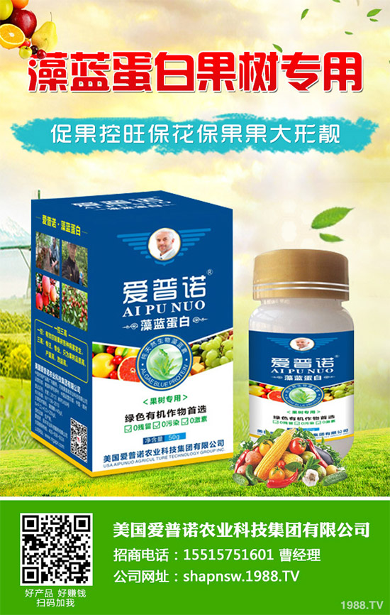茼蒿該怎么播種?茼蒿高產(chǎn)種植管理方案