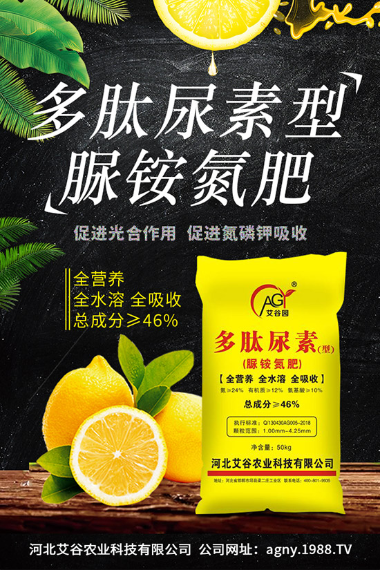 火龍果幾月份種植,火龍果的種植前景怎么樣?