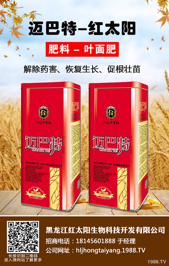 常吃紫蘇有什么好處,紫蘇的作用與功效!