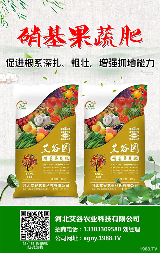 茼蒿該怎么吃?茼蒿的營養(yǎng)吃法及注意事項
