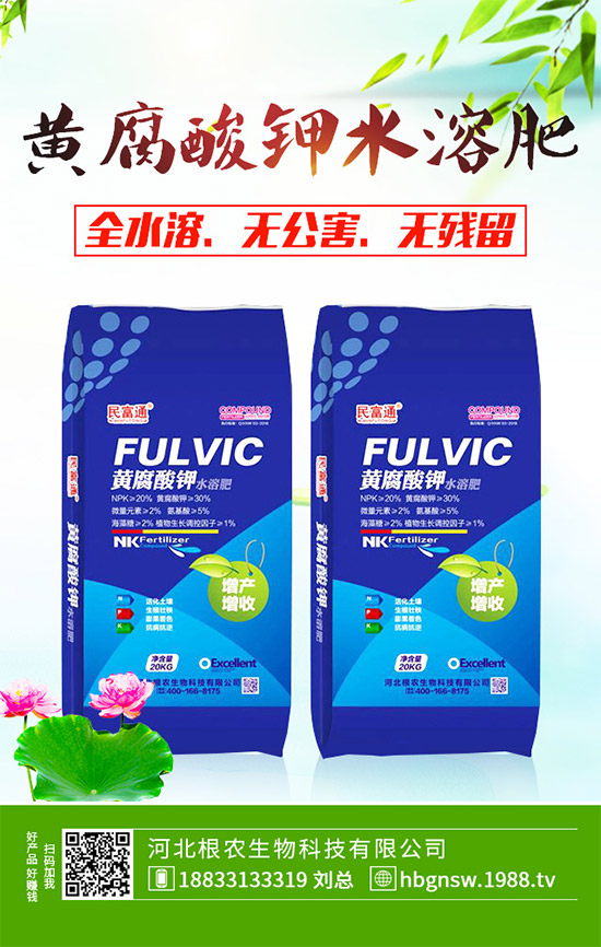 茼蒿該怎么吃?茼蒿的營養(yǎng)吃法及注意事項